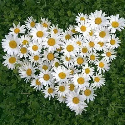 新manbetx-万博全站